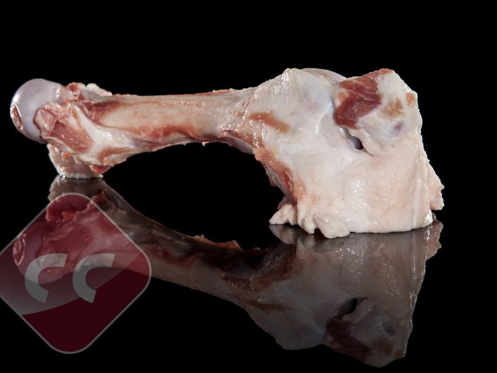Huesos de Fémur con Rotula
