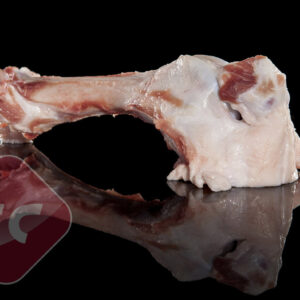 HUESOS DE FÉMUR CON ROTULA