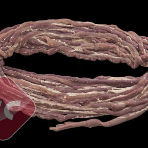 TRIPA FINA ORIGINAL SIN RASPAR